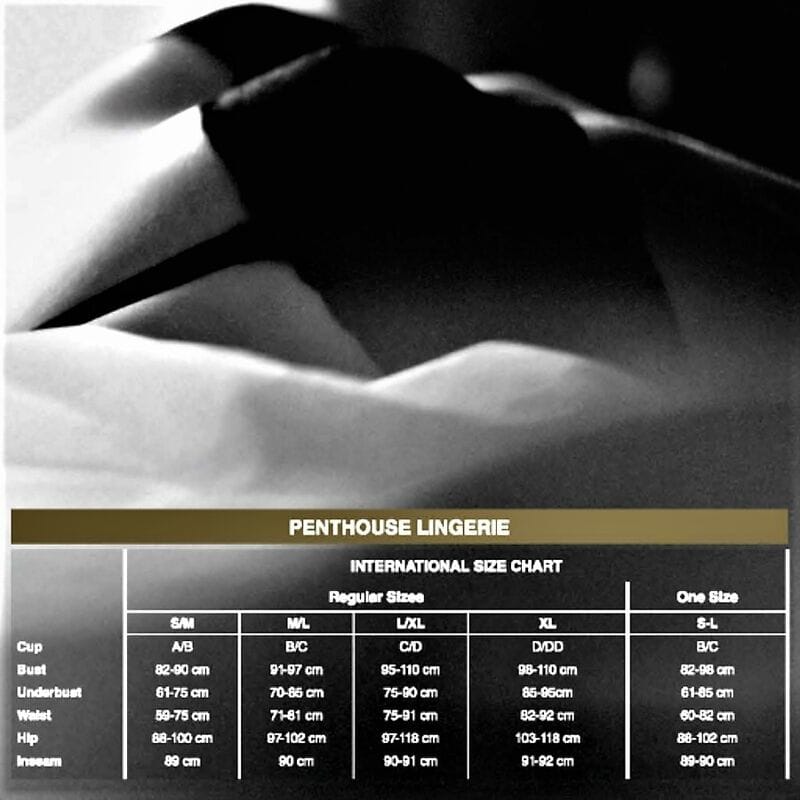 PENTHOUSE - SCANDALOUS TEDDY PRETO XL - Image 3