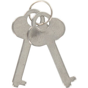 TOYJOY – FURRY FUN CUFFS BONDAGE ROXO