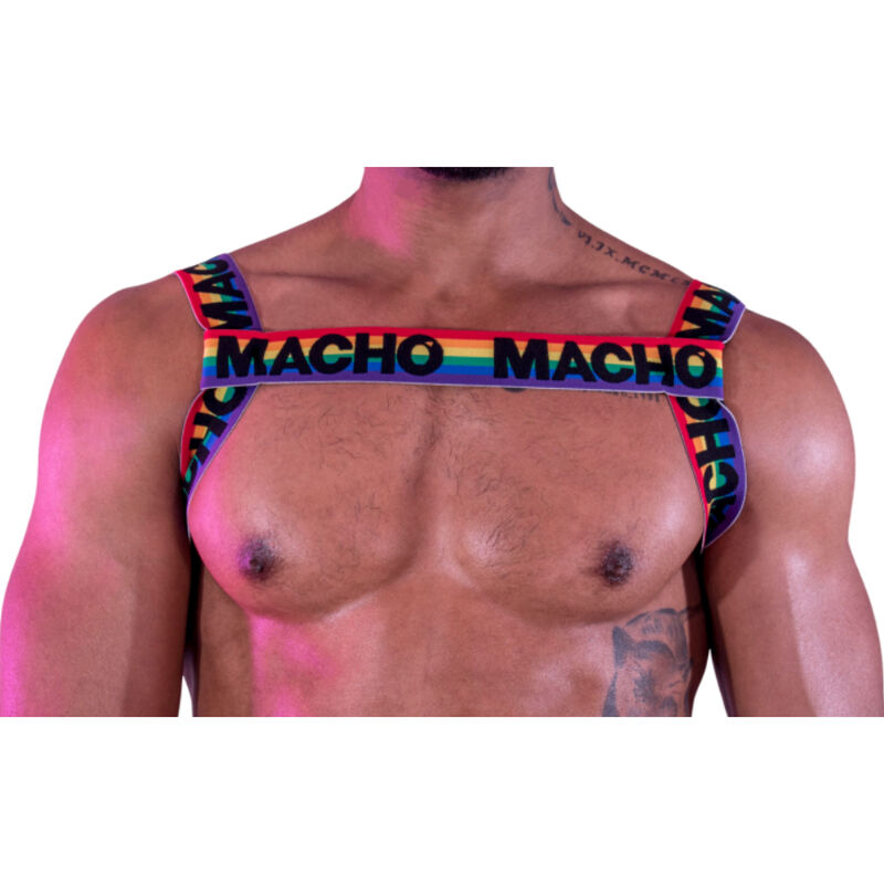 Ilhaerotica - MACHO - ARNÊS DUPLO PRIDE LIMITED