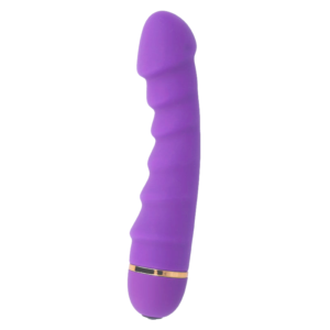 INTENSE – SALLY 20 VELOCIDADES SILICONE LILAC