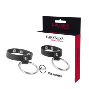DARKNESS – ANEL DE METAL PARA PÊNIS E TESTÍCULOS