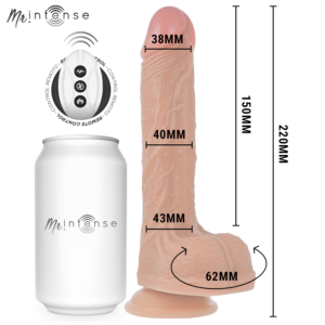 MR INTENSE – BALDWIN REALISTA MULTIFUNCIONAL COM VIBRAÇÃO, CONTROLE REMOTO PARA CIMA E PARA BAIXO, 22 CM – OU – 4 CM